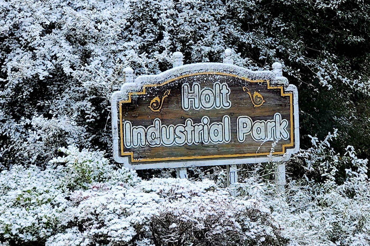 Small part of Sunshine State becomes Snowy State as Florida gets snow for 2nd year in a row | iNFOnews.ca Small part of Sunshine State becomes Snowy State as Florida gets snow for 2nd year in a row | iNFOnews.ca