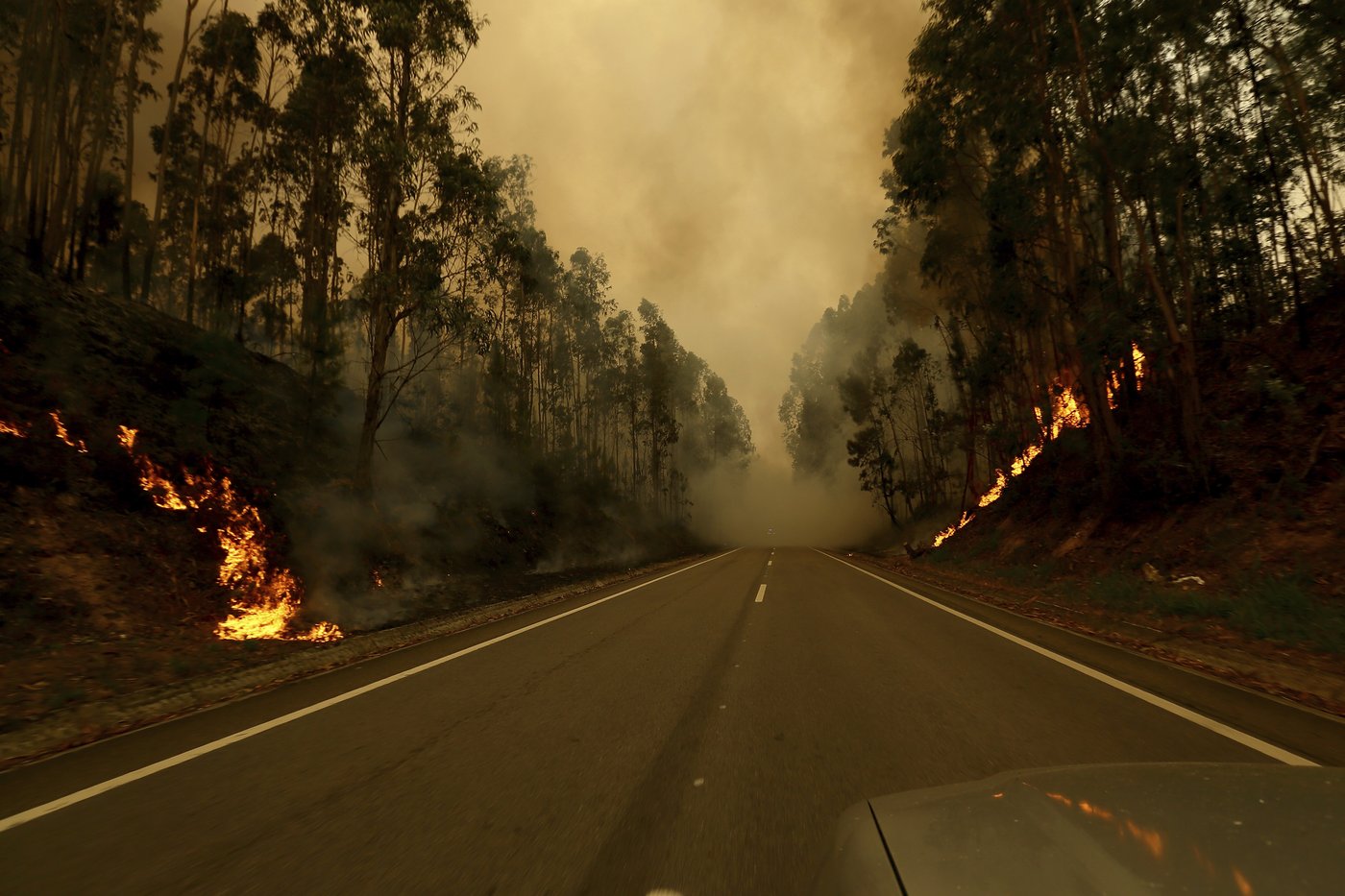 Portugal declares a state of calamity as wildfires rage out of control | iNFOnews.ca