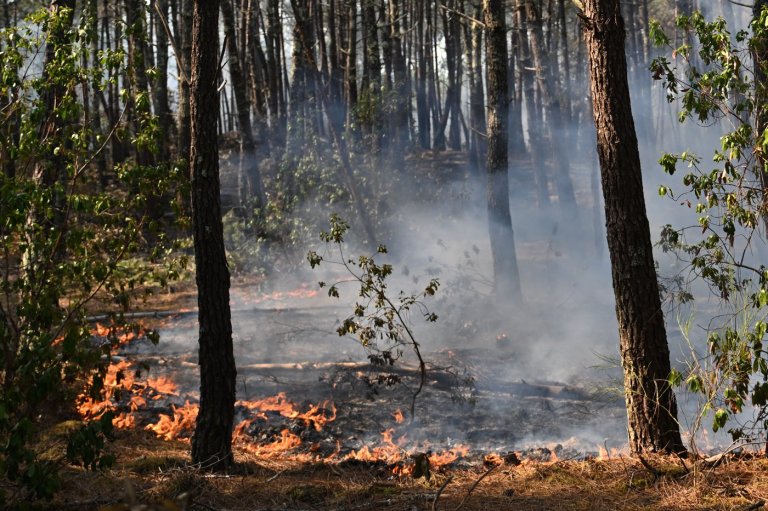 Southern Europe burns as 2 firefighters die and France battles blaze 4 times the size of Paris | iNFOnews.ca