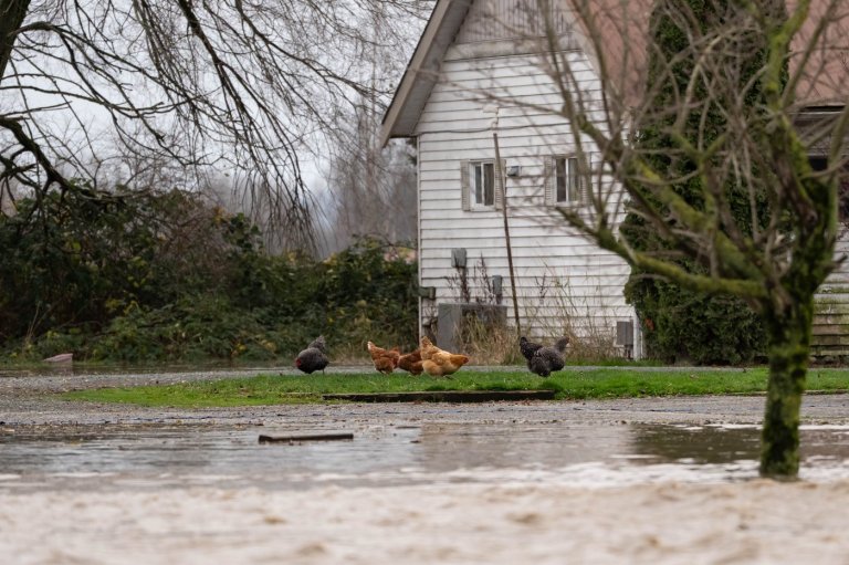 Photo Gallery: Flooding in B.C.'s Lower Interior | iNFOnews.ca