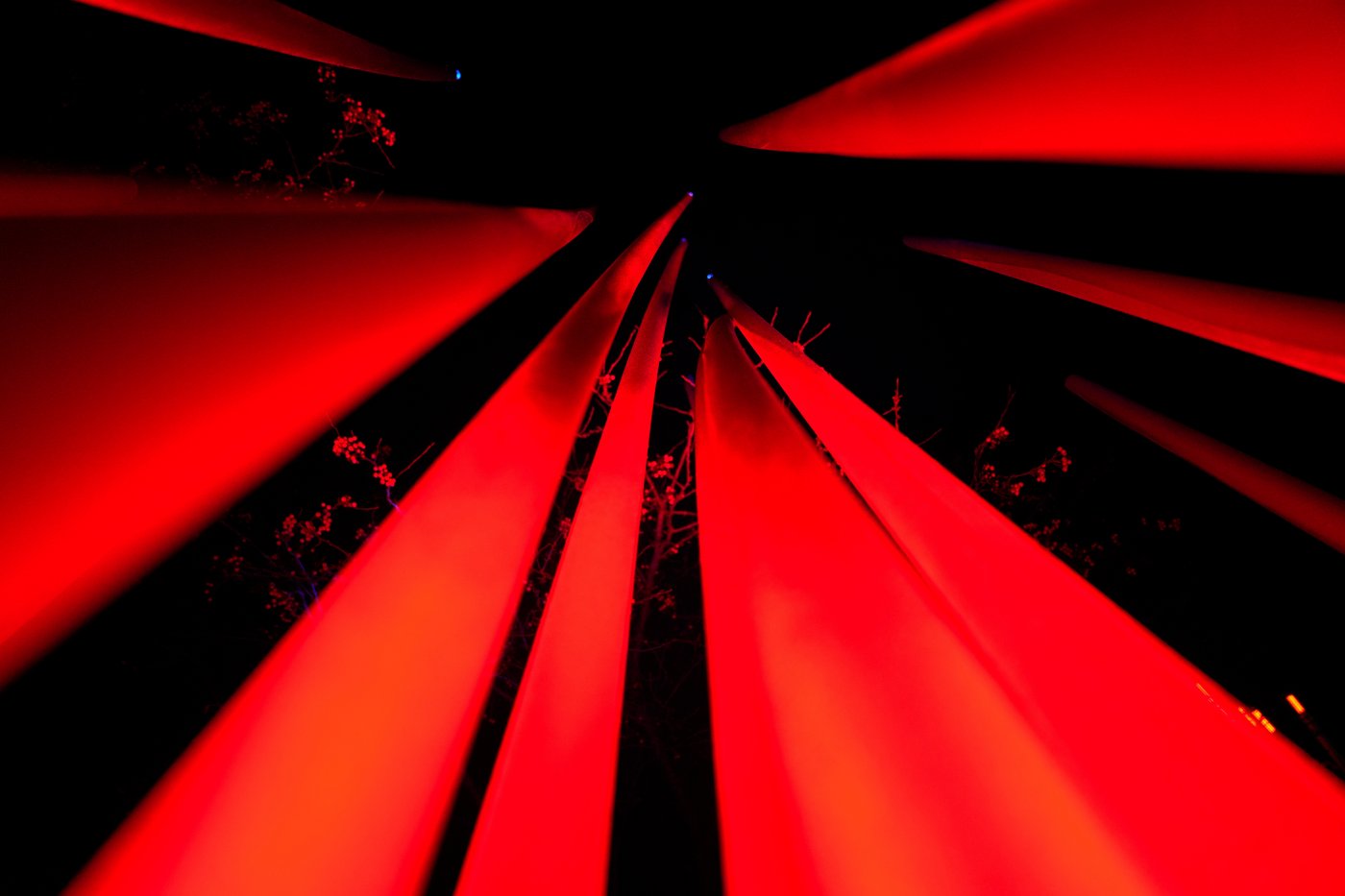 Photos show a world aglow with holiday lights | iNFOnews.ca