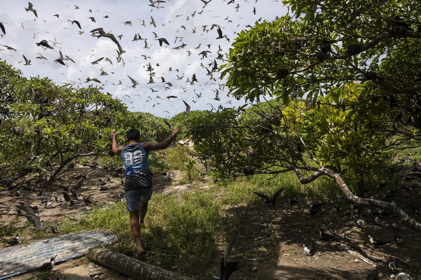Slight progress in global biodiversity protection efforts but some species decline, new reports find | iNFOnews.ca Slight progress in global biodiversity protection efforts but some species decline, new reports find | iNFOnews.ca