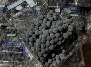 Cluster of deep purple grapes are in an opened plastic container.