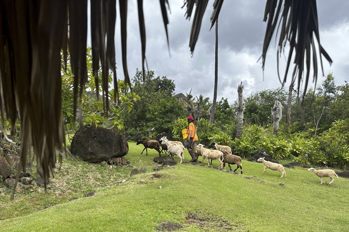 Could this Hawaii community be the next Lahaina? Some residents fear a similar wildfire fate | iNFOnews.ca Could this Hawaii community be the next Lahaina? Some residents fear a similar wildfire fate | iNFOnews.ca