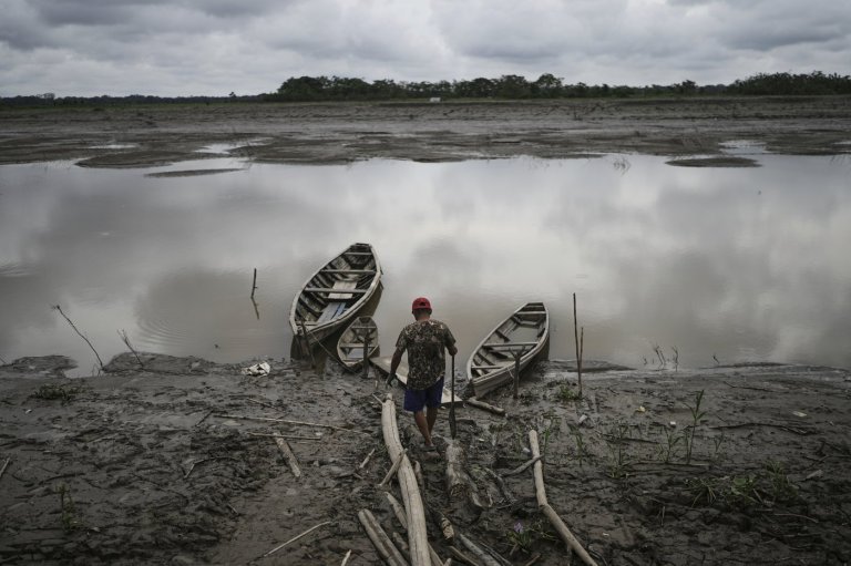 Well-preserved Amazon rainforest on Indigenous lands can protect people from diseases, study finds | iNFOnews.ca