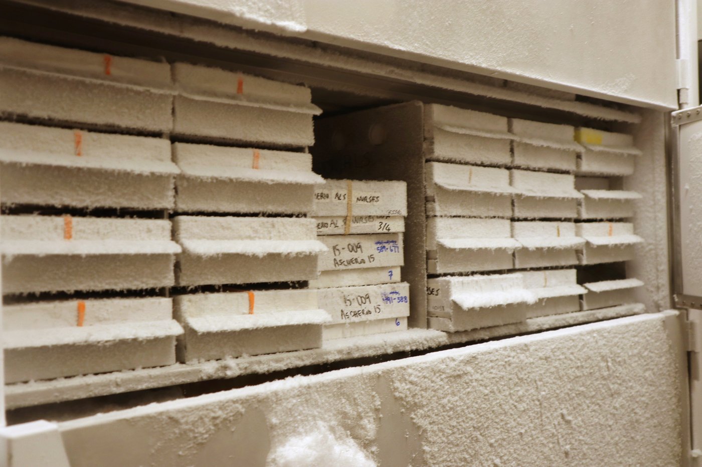 Harvard scientists say research could be set back years after funding freeze | iNFOnews.ca Harvard scientists say research could be set back years after funding freeze | iNFOnews.ca