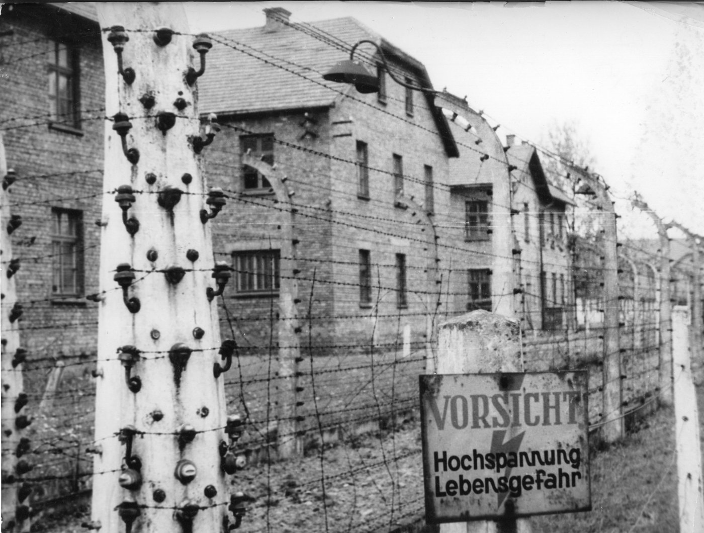 PHOTO COLLECTION: Poland Auschwitz 80th Anniversary | iNFOnews.ca