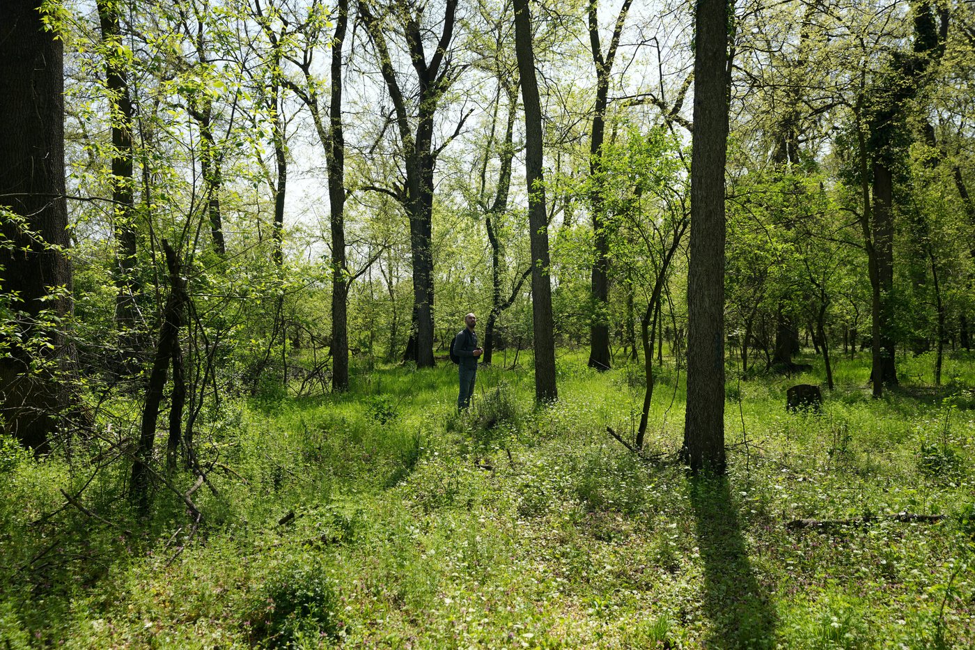 A Serbian bird-watching group uses crowdfunding to buy and preserve a woodland habitat | iNFOnews.ca A Serbian bird-watching group uses crowdfunding to buy and preserve a woodland habitat | iNFOnews.ca