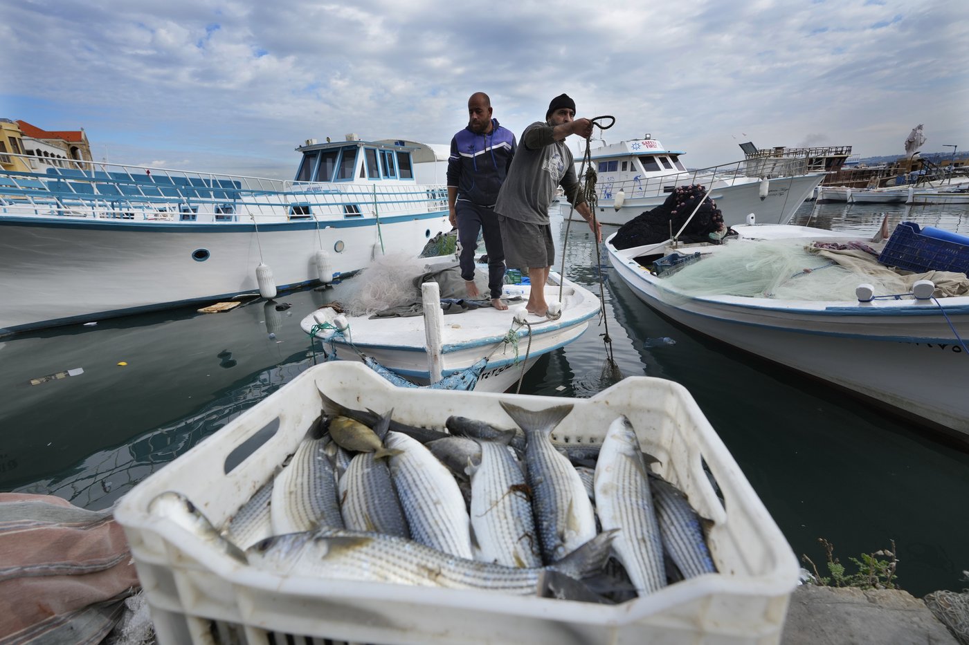 Lebanese fishermen hope ceasefire with Israel means normal life returning | iNFOnews.ca Lebanese fishermen hope ceasefire with Israel means normal life returning | iNFOnews.ca