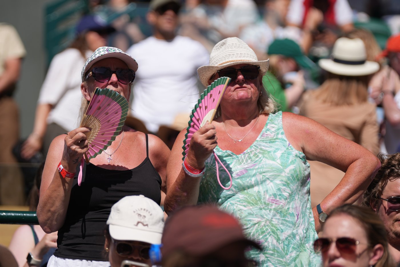 Wimbledon kept its courts lush green as other London lawns browned in record heat | iNFOnews.ca