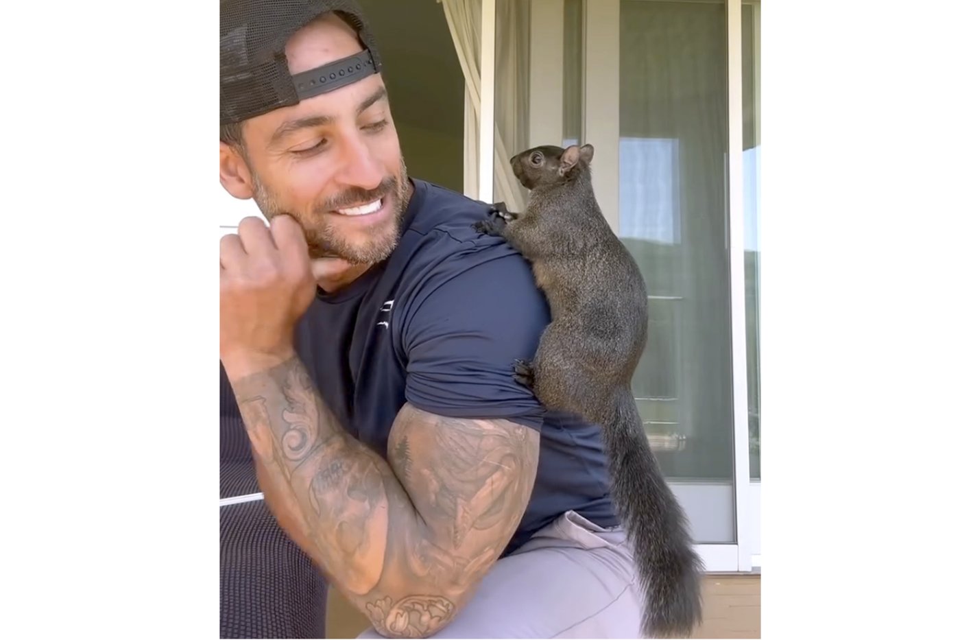 Social media star squirrel euthanized after being taken from home tests negative for rabies | iNFOnews.ca