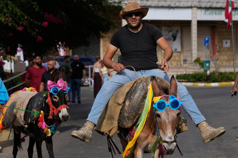 Donkeys don bows and sunglasses for a summer race in southern Lebanon, in photos | iNFOnews.ca