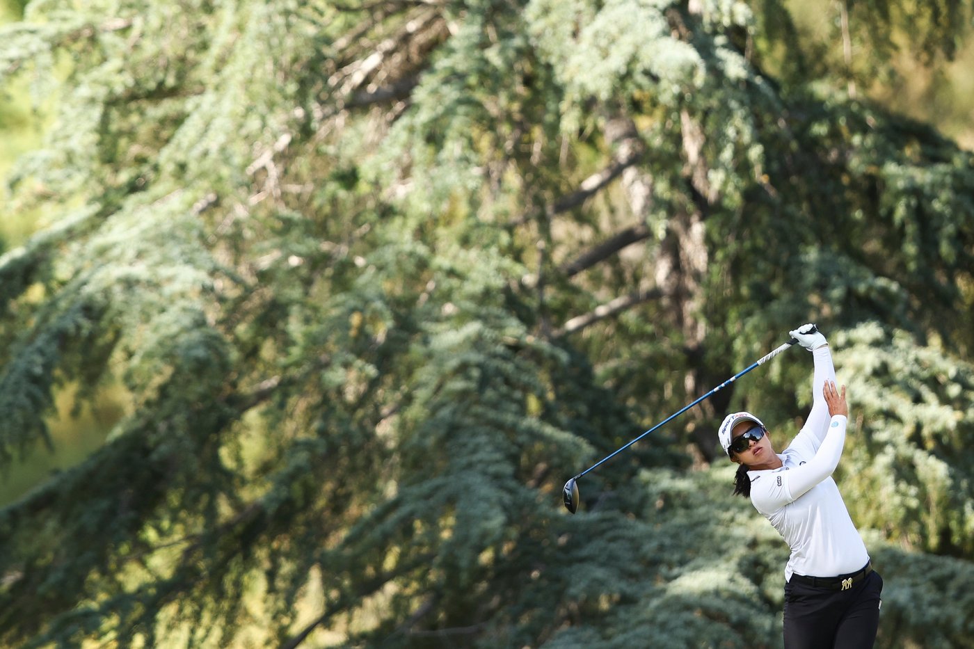 Sei Young Kim blows all but 2 strokes of 8-shot lead in Los Angeles | iNFOnews.ca Sei Young Kim blows all but 2 strokes of 8-shot lead in Los Angeles | iNFOnews.ca