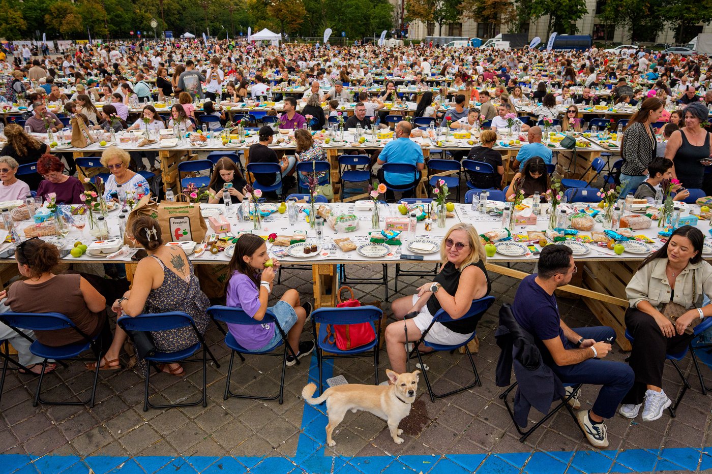 Romania sets Guinness record with miles-long table, raises funds for pediatric psychiatry hospital | iNFOnews.ca Romania sets Guinness record with miles-long table, raises funds for pediatric psychiatry hospital | iNFOnews.ca