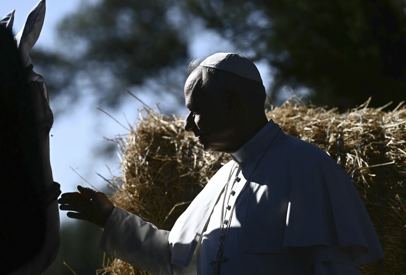 Pope feeds fish as he opens Vatican's ambitious model of sustainable farming and education | iNFOnews.ca