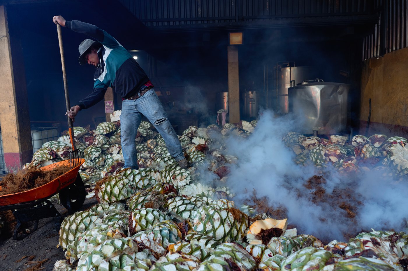 See how mezcal is made in Mexico | iNwine