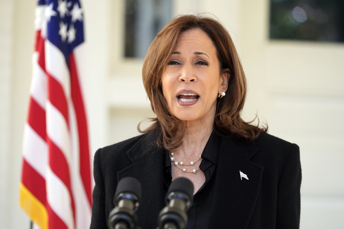 Harris says Trump 'is a fascist' after his ex-chief of staff says he wanted generals like Hitler's | iNFOnews.ca Harris says Trump 'is a fascist' after his ex-chief of staff says he wanted generals like Hitler's | iNFOnews.ca