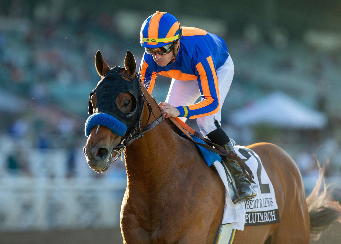 Plutarch wins Robert Lewis Stakes to give Baffert 8th straight victory in the race for 3-year-olds | iNFOnews.ca Plutarch wins Robert Lewis Stakes to give Baffert 8th straight victory in the race for 3-year-olds | iNFOnews.ca