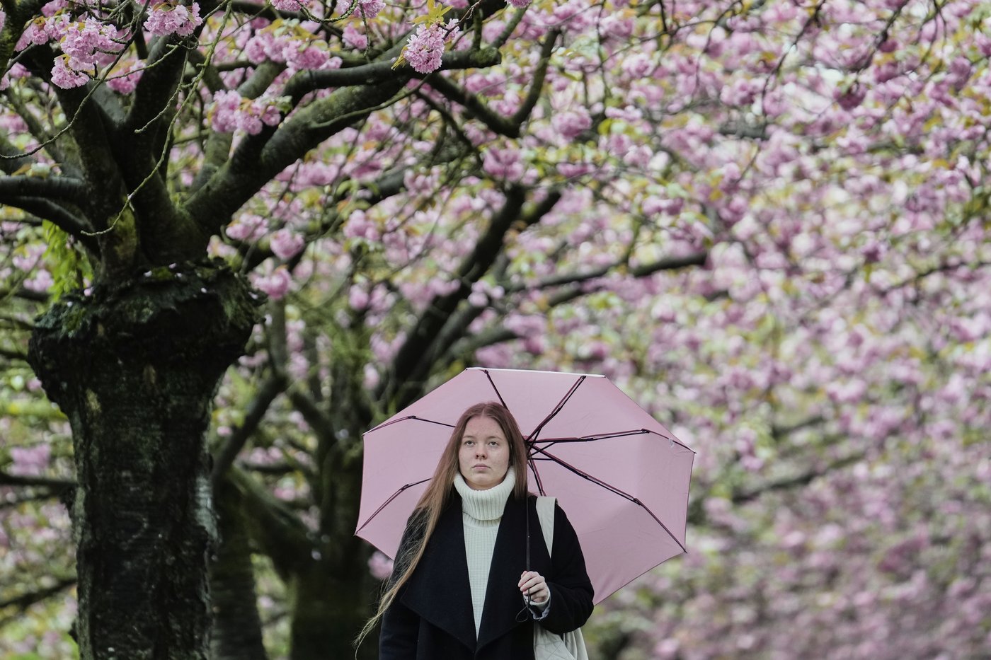 PHOTO COLLECTION: Spring Weather | iNFOnews.ca