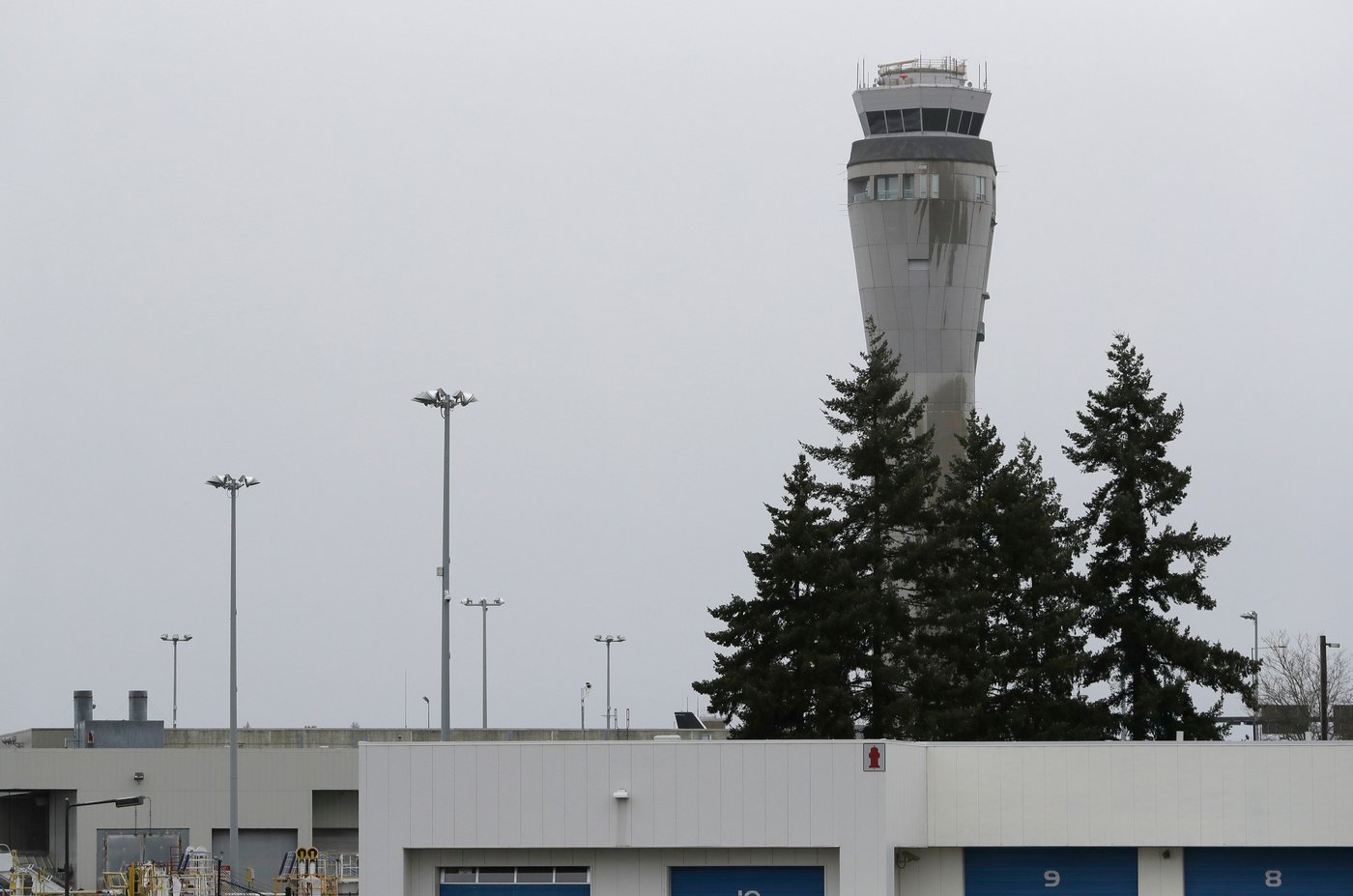 Police search for fugitive who escaped from Seattle's airport in handcuffs | iNFOnews.ca Police search for fugitive who escaped from Seattle's airport in handcuffs | iNFOnews.ca