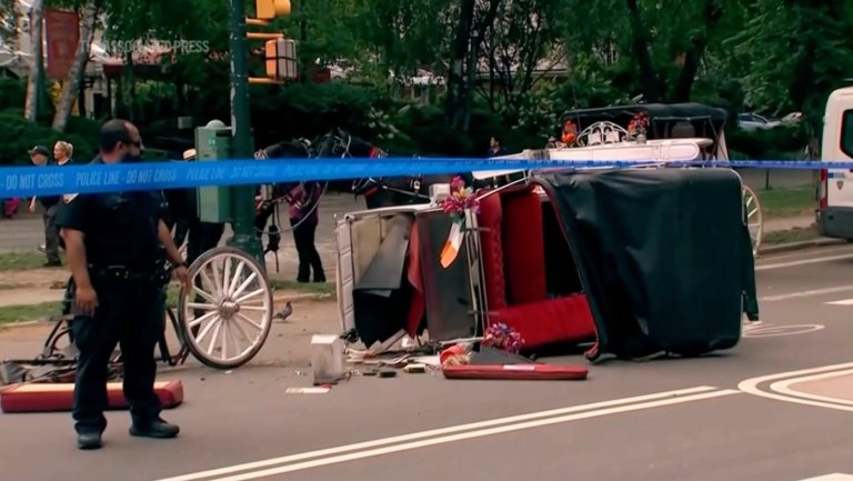 Horse-drawn carriage rides in New York on hold after teen tourist's death | iNFOnews.ca