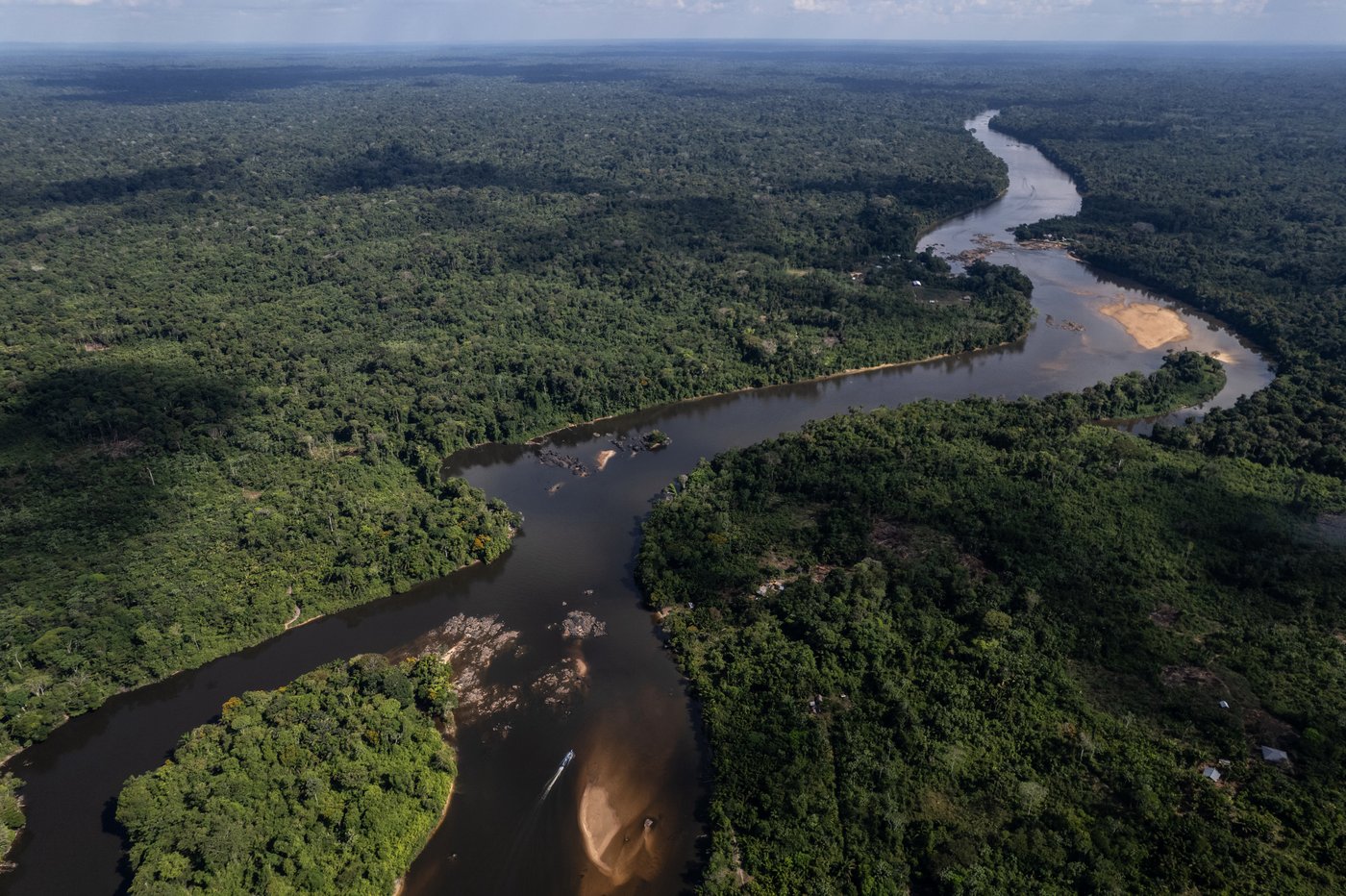Takeaways from AP's report on how Suriname's Saamaka are fighting to protect their rainforest | iNFOnews.ca Takeaways from AP's report on how Suriname's Saamaka are fighting to protect their rainforest | iNFOnews.ca