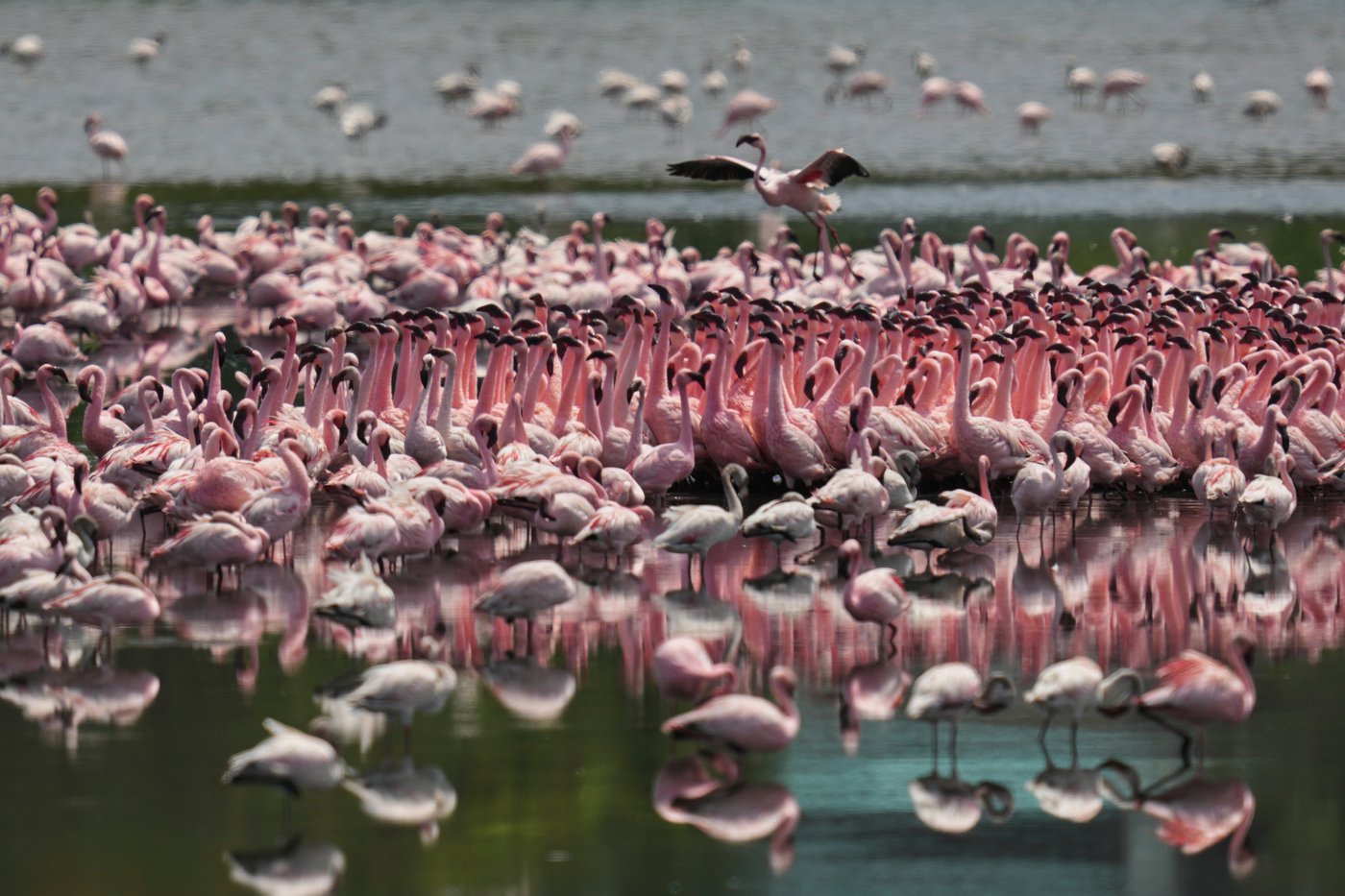 The top photos of the week by AP photojournalists | iNFOnews.ca