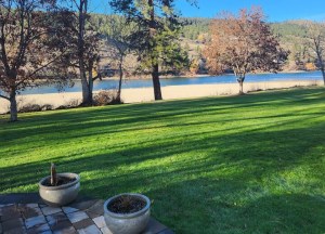 A sunny day with some green grass and a river in the background.