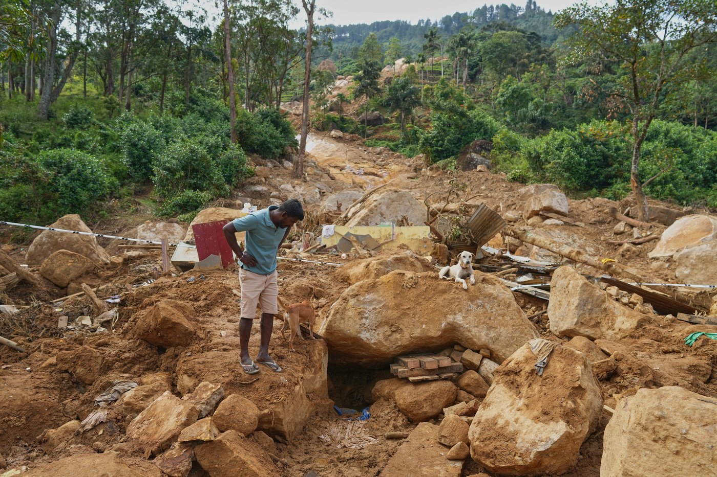 Sri Lanka tea workers struggle in poverty. Flooding cost many their lives | iNFOnews.ca