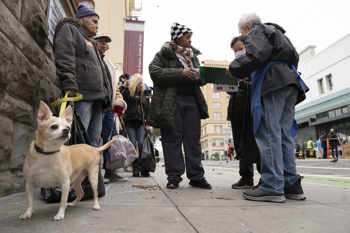 Dogs sit and stay to get vaccinated against parvovirus at San Francisco free clinic | iNFOnews.ca