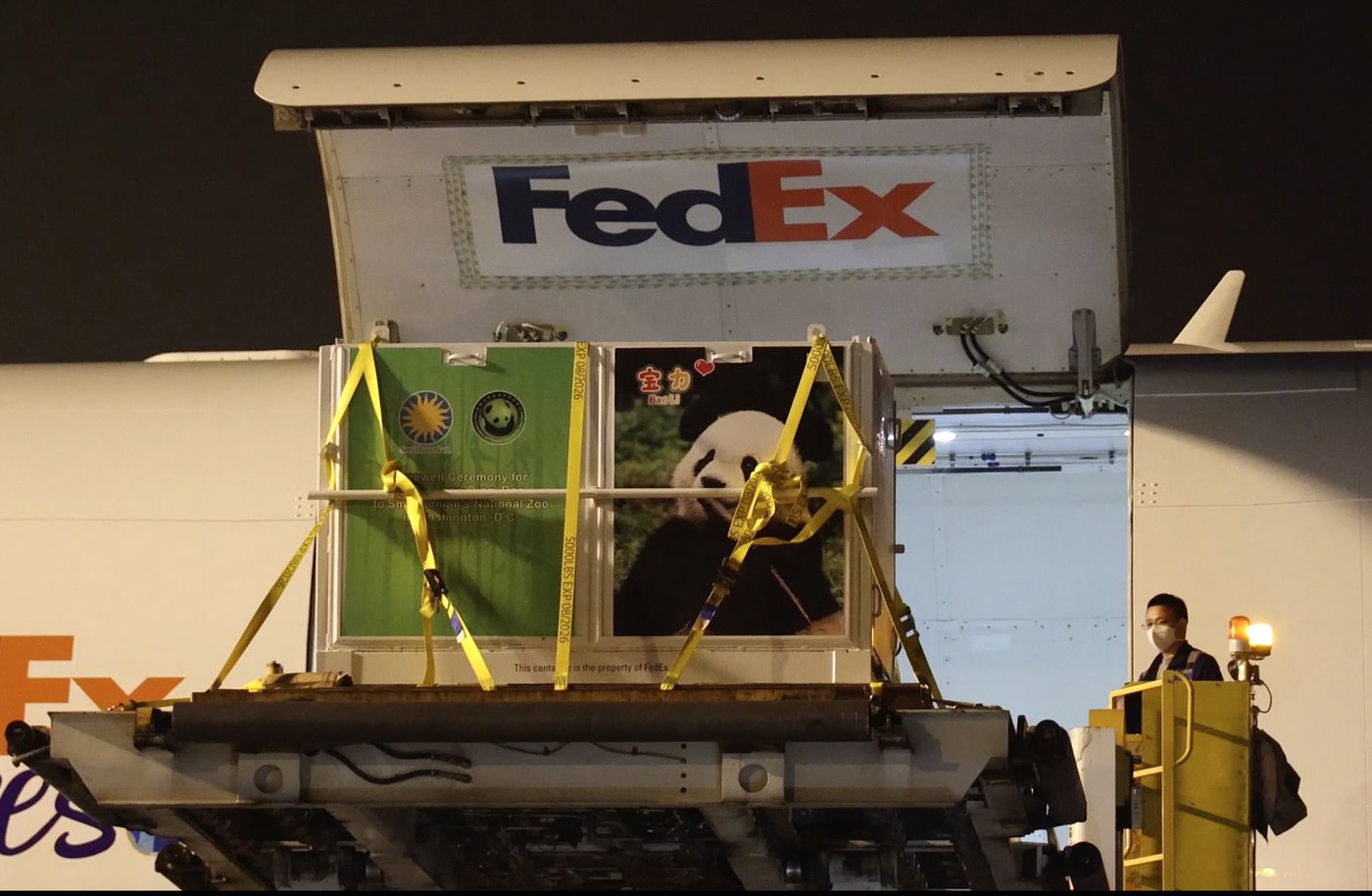 Pandas arrive at National Zoo, but won't be ready for public debut until January | iNFOnews.ca