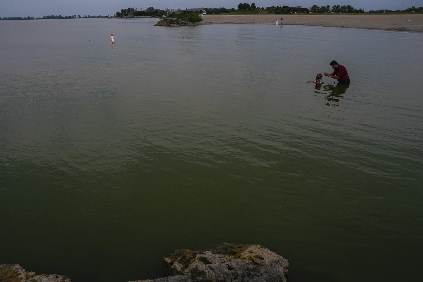 Researchers in a lab near Lake Erie study how toxic algae can damage health | iNFOnews.ca