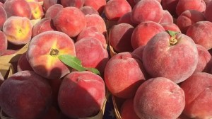 A close-up of a bushel of peaches.