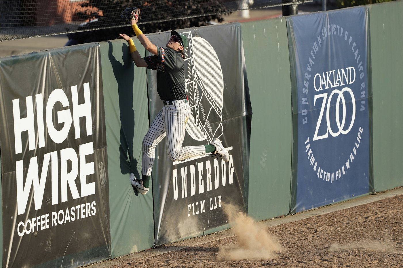 Ballers outfielder Lou Helmig represents deep baseball history in Germany | iNFOnews.ca Ballers outfielder Lou Helmig represents deep baseball history in Germany | iNFOnews.ca