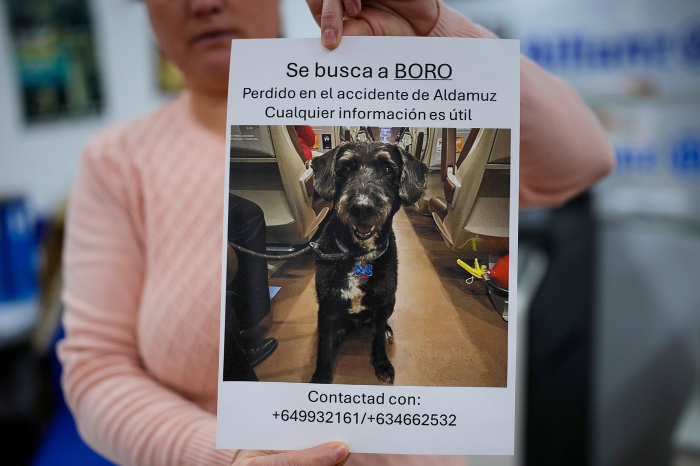 Recovery of missing dog Boro brings hope after Spain's train crashes | iNFOnews.ca