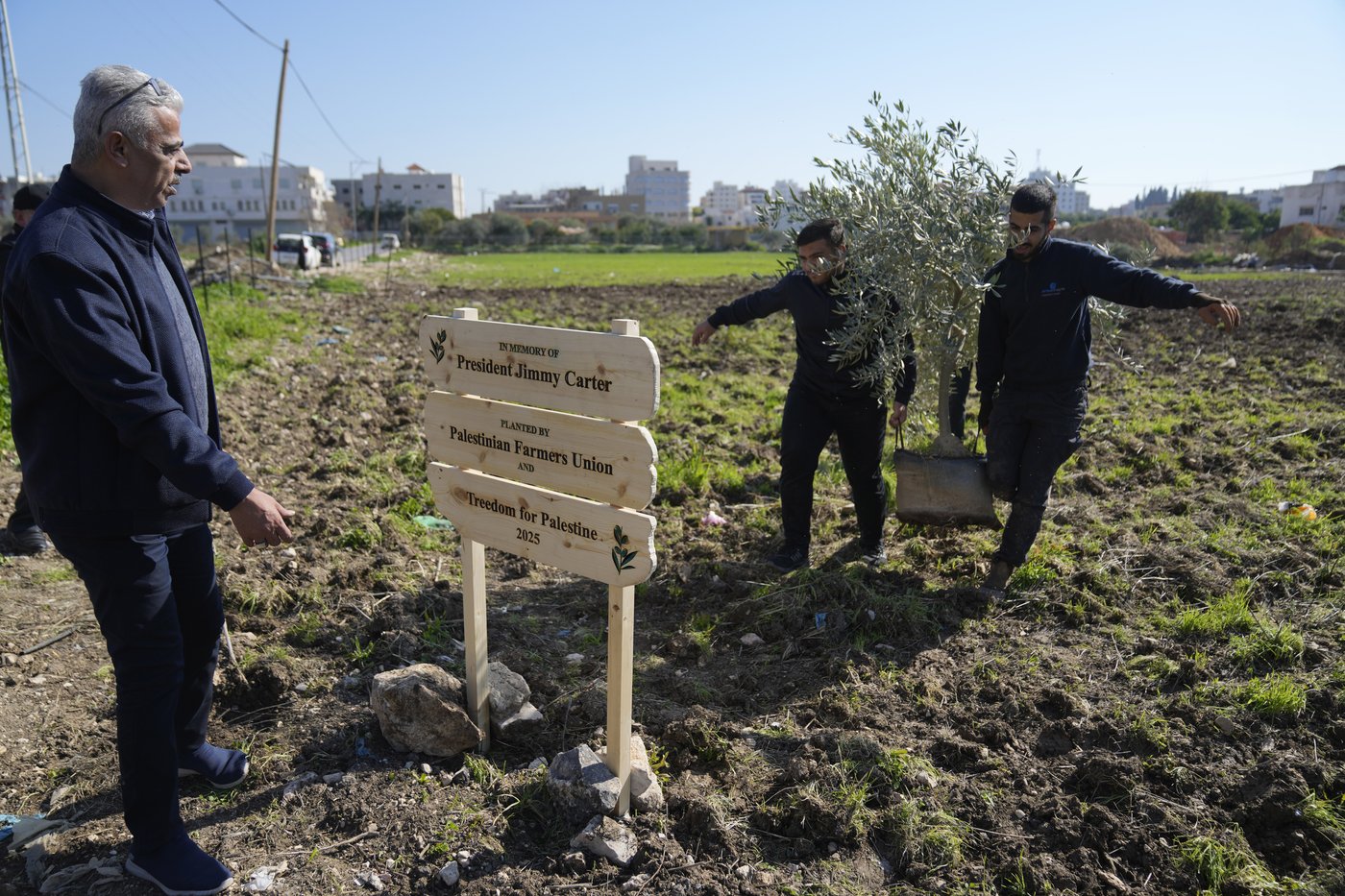 Palestinians dedicate West Bank olive grove to Jimmy Carter | iNFOnews.ca Palestinians dedicate West Bank olive grove to Jimmy Carter | iNFOnews.ca