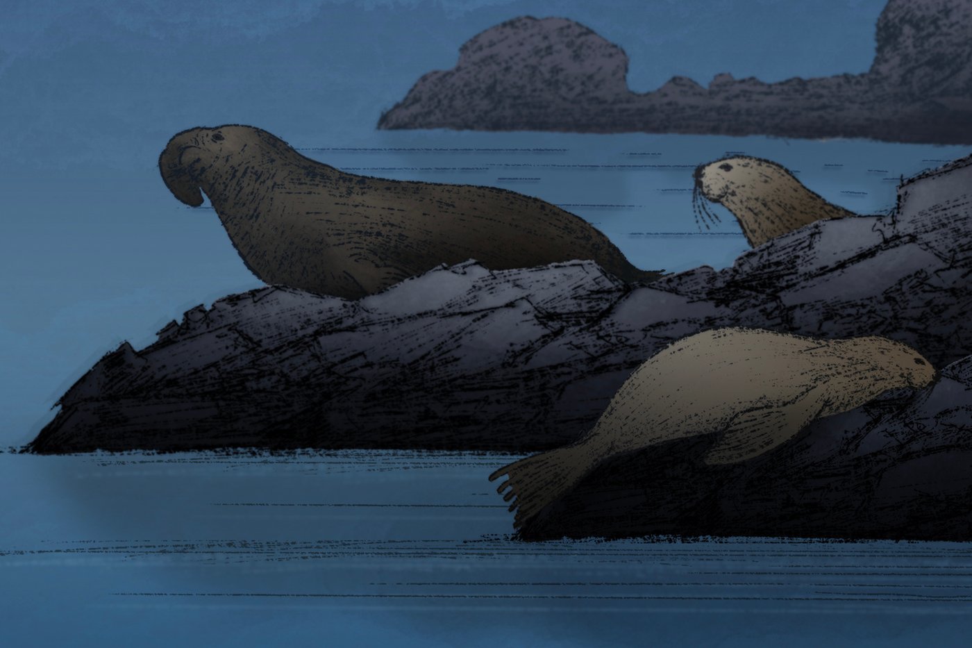 Nodding off is dangerous. Some animals have evolved extreme ways to sleep in precarious environments | iNFOnews.ca Nodding off is dangerous. Some animals have evolved extreme ways to sleep in precarious environments | iNFOnews.ca