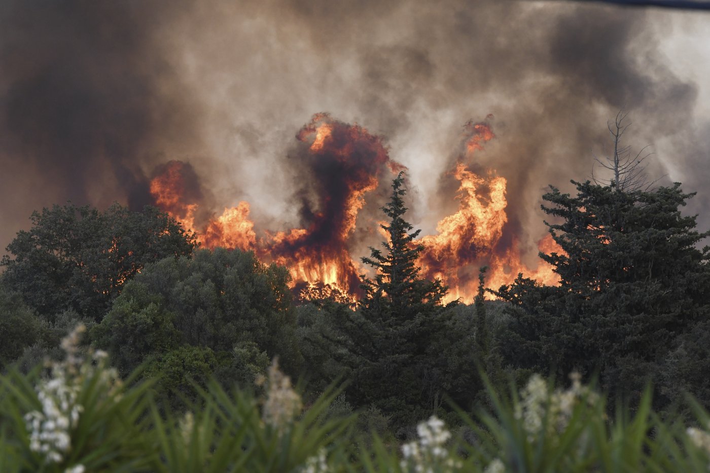 Parts of Europe burn as millions are facing record heat | iNFOnews.ca