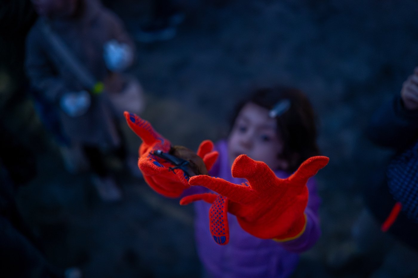 After harsh winter, Ukrainians find joy in releasing bats rescued from war | iNFOnews.ca