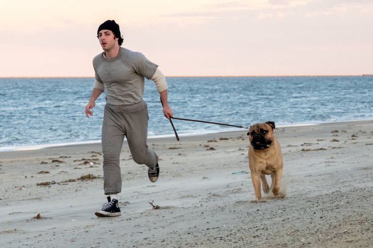 Sylvester Stallone, Rupert Murdoch biopics among projects coming to TIFF | iNFOnews.ca