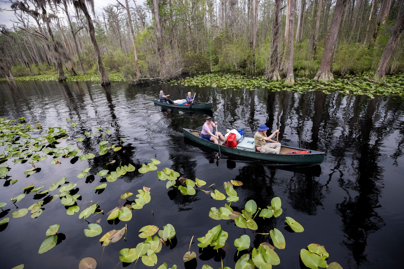 The Okefenokee is about to be honored, but some locals aren’t celebrating | iNFOnews.ca