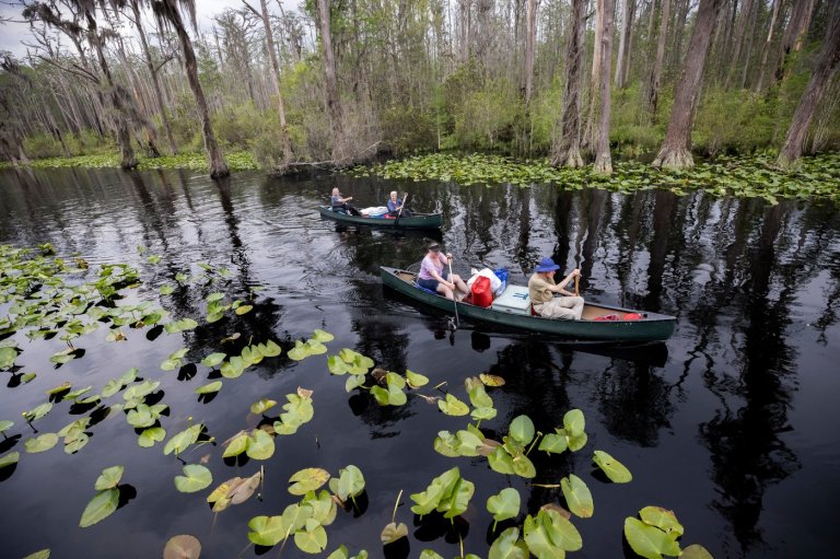 The Okefenokee is about to be honored, but some locals aren’t celebrating | iNFOnews.ca