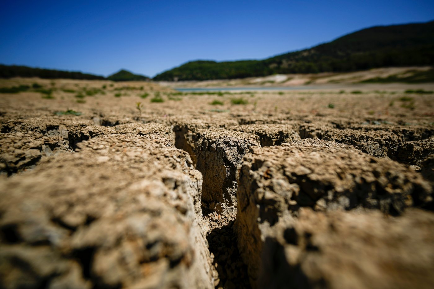 Mexico, Italy and others see up to two more months of heat stress than in the 1970s, study says | iNFOnews.ca Mexico, Italy and others see up to two more months of heat stress than in the 1970s, study says | iNFOnews.ca
