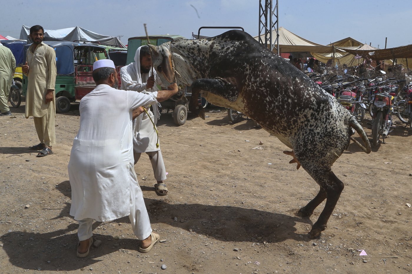 PHOTO COLLECTION: Eid al-Adha | iNFOnews.ca