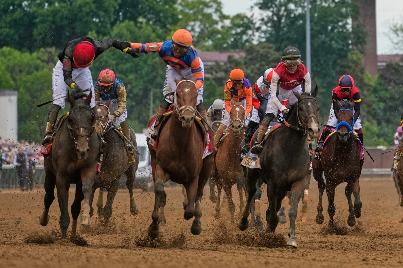 Renegade is the 2-1 favorite for the Belmont Stakes rematch with Derby winner Golden Tempo | iNFOnews.ca Renegade is the 2-1 favorite for the Belmont Stakes rematch with Derby winner Golden Tempo | iNFOnews.ca