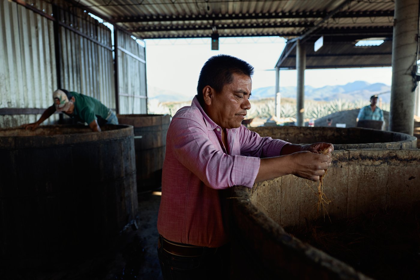 Mezcal's popularity is booming in the US. That comes with a growing environmental cost in Mexico | iNwine