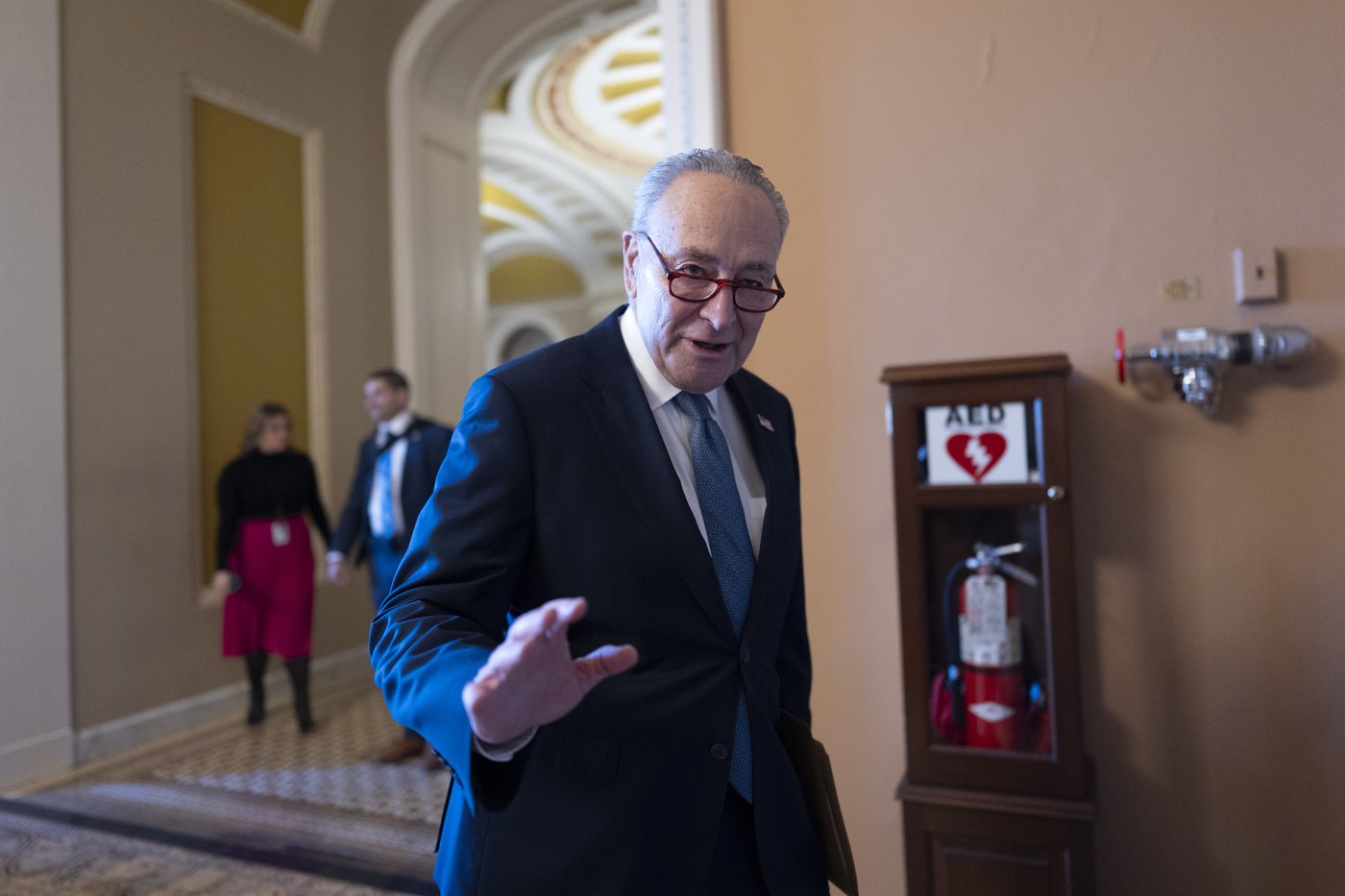 Democrats stick with Schumer as leader, their strategy for countering Trump is far less certain | iNFOnews.ca Democrats stick with Schumer as leader, their strategy for countering Trump is far less certain | iNFOnews.ca