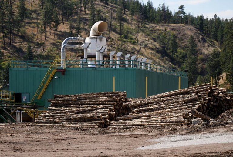 Canadian forest sector faces another blow with new U.S. tariff onslaught | iNFOnews.ca
