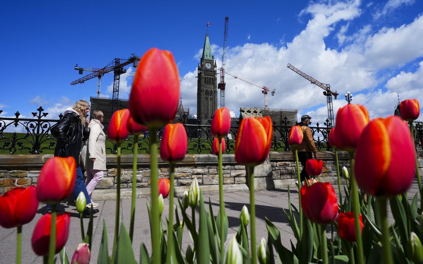 StatCan estimates population edged lower in the first quarter of 2026 | iNFOnews.ca