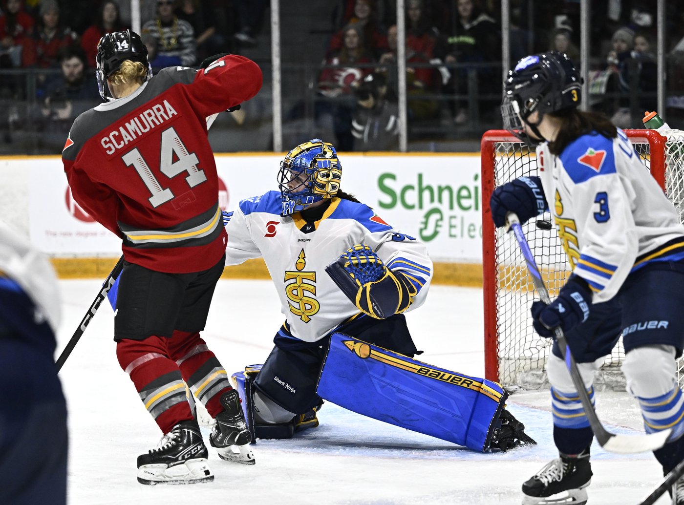 Roese picks great time to score first goal for Charge | iNFOnews.ca
